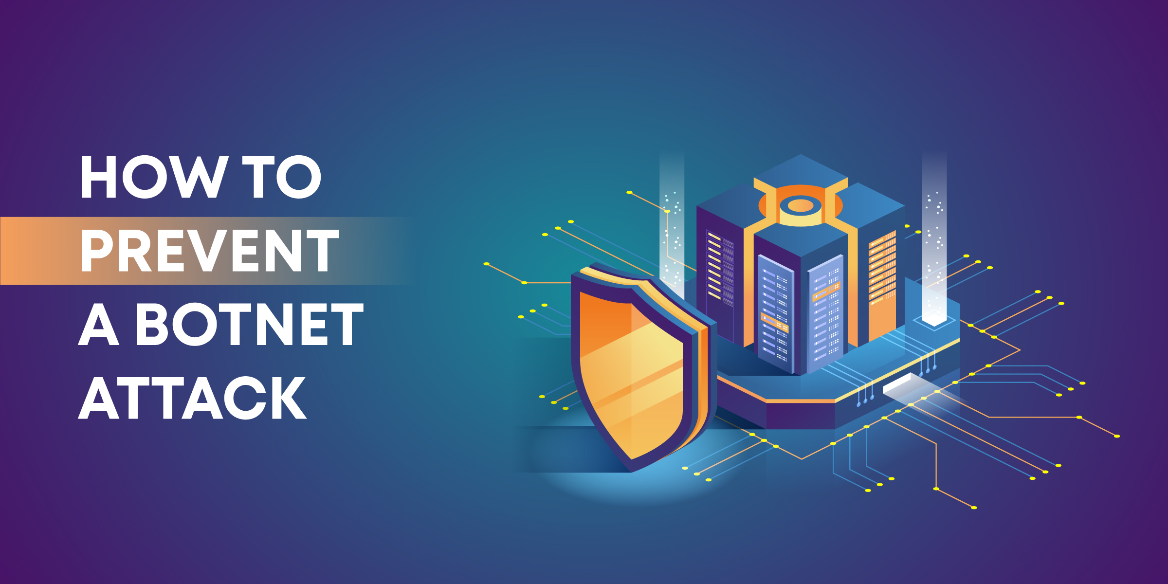 How to Prevent a Botnet Attack