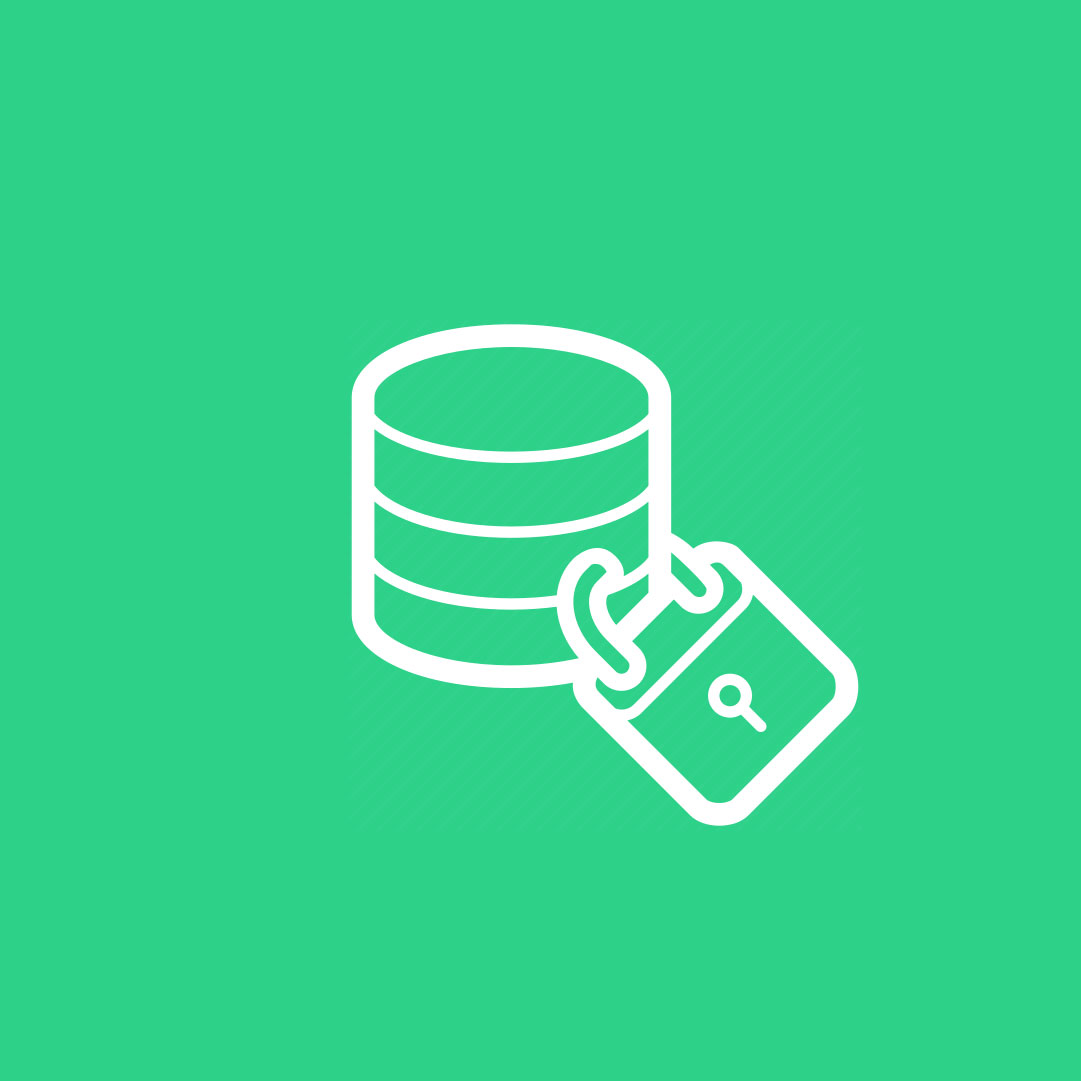 data-security-goget Data Security