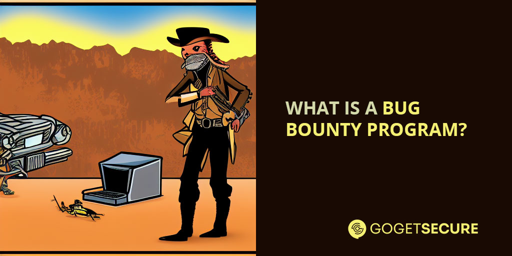what is a bug bounty program